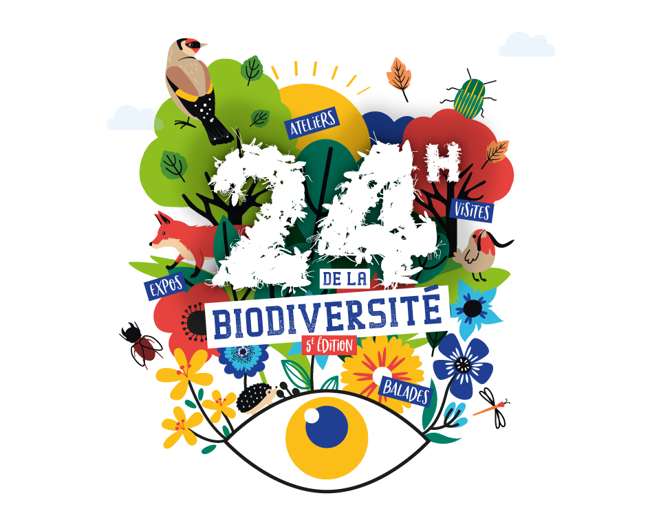 Buzznative-Orleans-Metropole-campagne-24h-biodiversite-realisation