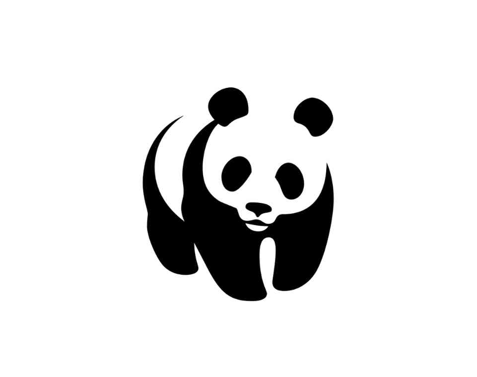 agence-buzznative-conseil-communication-orléans-paris-londres-branding-création-logo-wwf